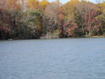fall 4