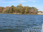 fall-2